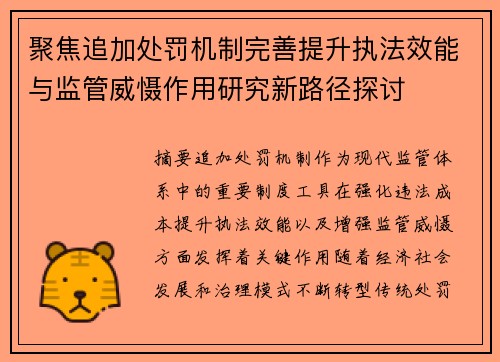 聚焦追加处罚机制完善提升执法效能与监管威慑作用研究新路径探讨